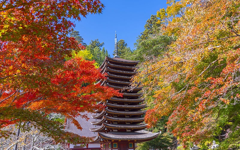 秋の繁忙期を乗り切る