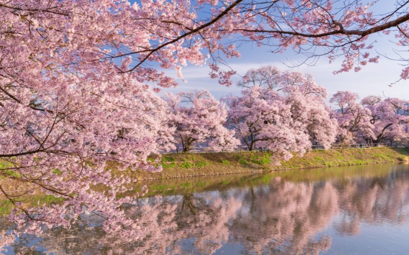 3月〜5月の動向と戦略