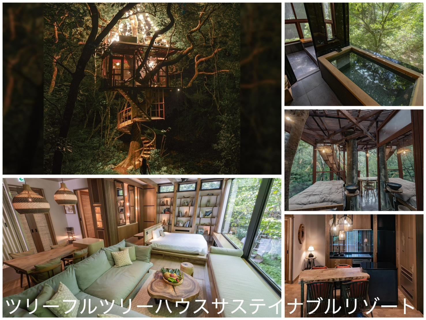 ツリーフルツリーハウスサステイナブルリゾート 施設の写真